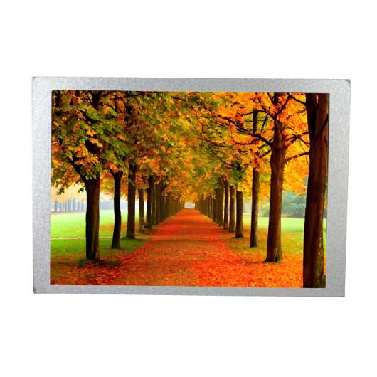 G084XAN01.0 8.4` High Brightness LCD
